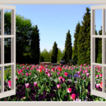 7 key points for programming mind window garden